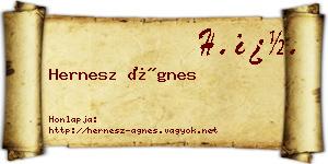 Hernesz Ágnes névjegykártya